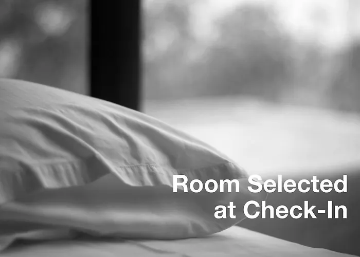 Papu Hotel Bucareste